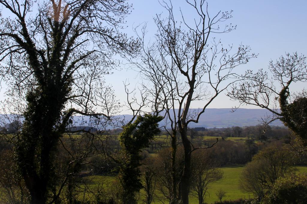 Woodview House Bed And Breakfast Ballinrobe Rom bilde